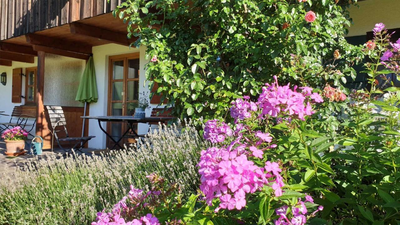 Budererhof Apartment *